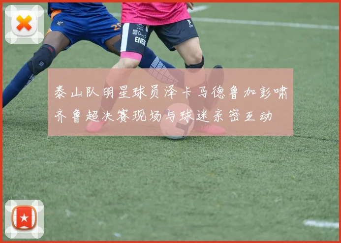 泰山队明星球员泽卡马德鲁加彭啸齐鲁超决赛现场与球迷亲密互动